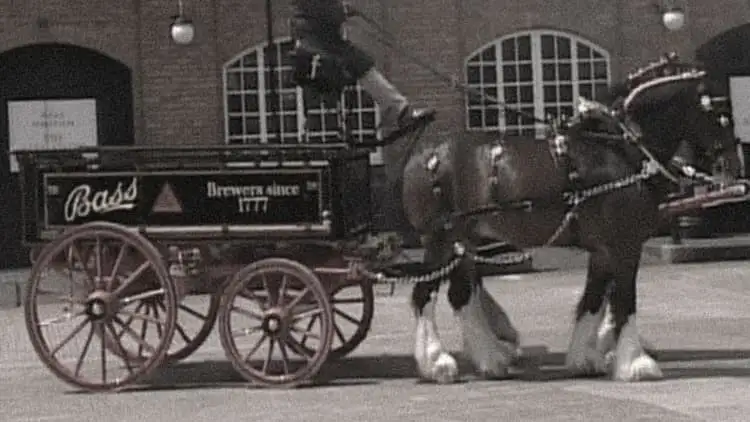 %EB%A7%A5%EC%A3%BC_%EC%96%91%EC%A1%B0%EC%9E%A5.jpg?type=w966