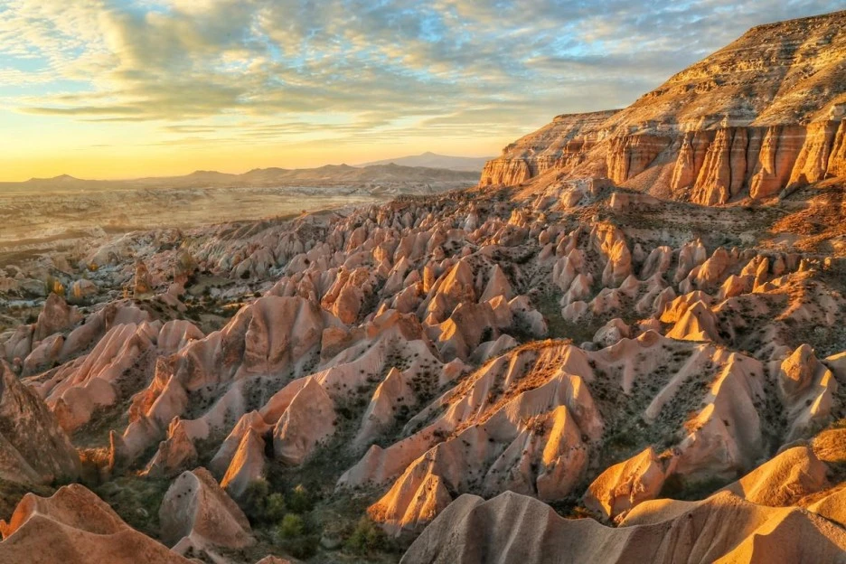 135_220_ed11511d-b646-42b7-bdf6-7656c71bd026.jpeg?type=w1