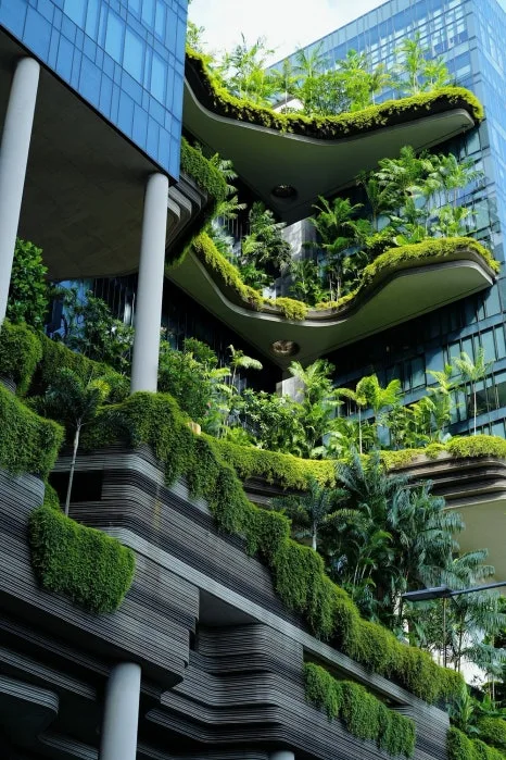 caption_(3).jpg?type=w466