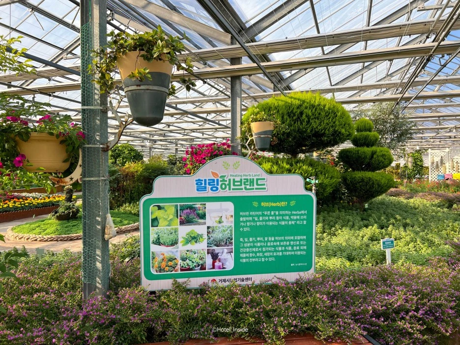 SE-f55b01ff-bbe4-4111-aa33-0c2155f5e625.jpg?type=w1