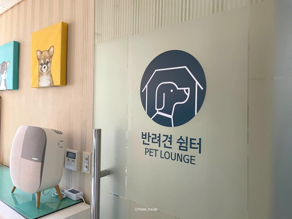 SE-4923caaf-5248-4297-8ce6-f5717f8b3b47.jpg?type=w1