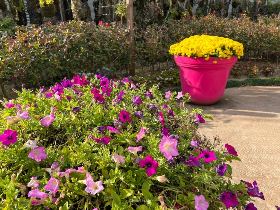 SE-36c9d69a-ff61-4f0a-b2ce-8705afa3403b.jpg?type=w1