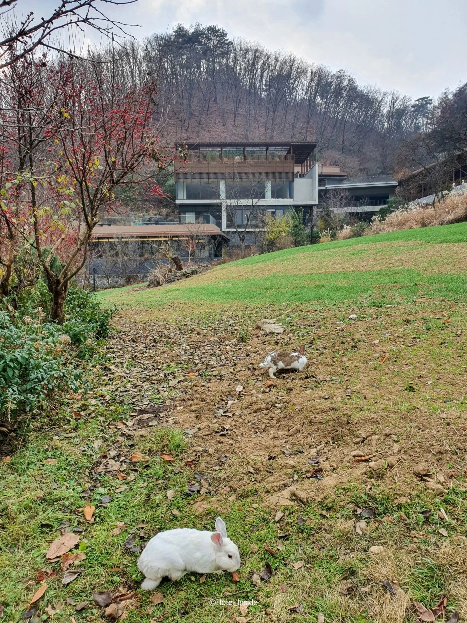 SE-2d1f6c7f-a671-4e9a-84f5-f94e20675c86.jpg?type=w1