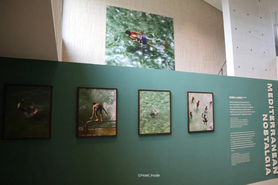 SE-3b9b9ce1-9d3e-4f45-b0f2-8b506e61e144.jpg?type=w1