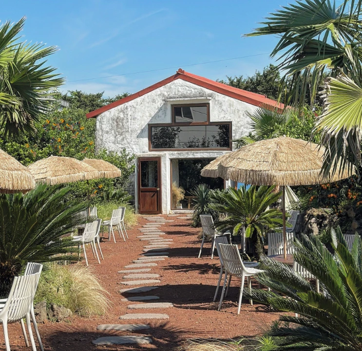 %EC%97%B0%EB%A7%90_%EC%9D%B4%EC%83%89_%EC%A0%9C%EC%A3%BC%EB%A9%94%EC%A2%85_%EA%B8%80%EB%9E%98%EB%93%9C_%EC%A0%9C%EC%A3%BC.png?type=w966