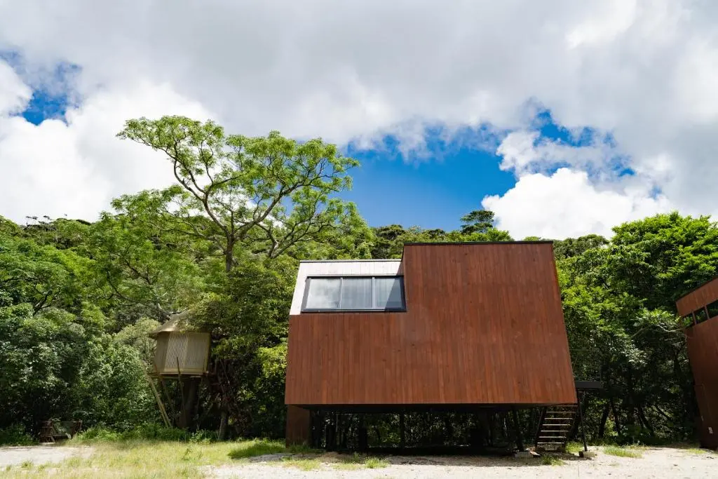 619166243.jpg?k=cf45892a3b1b993f21413c0240c097d5b624fd0a0342c532c3382510498c6d05&o=