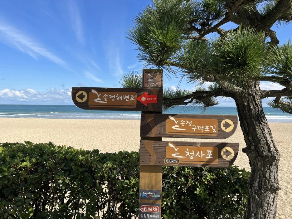 SE-550aaac4-6edb-4357-8049-253a47b2e17a.jpg?type=w1