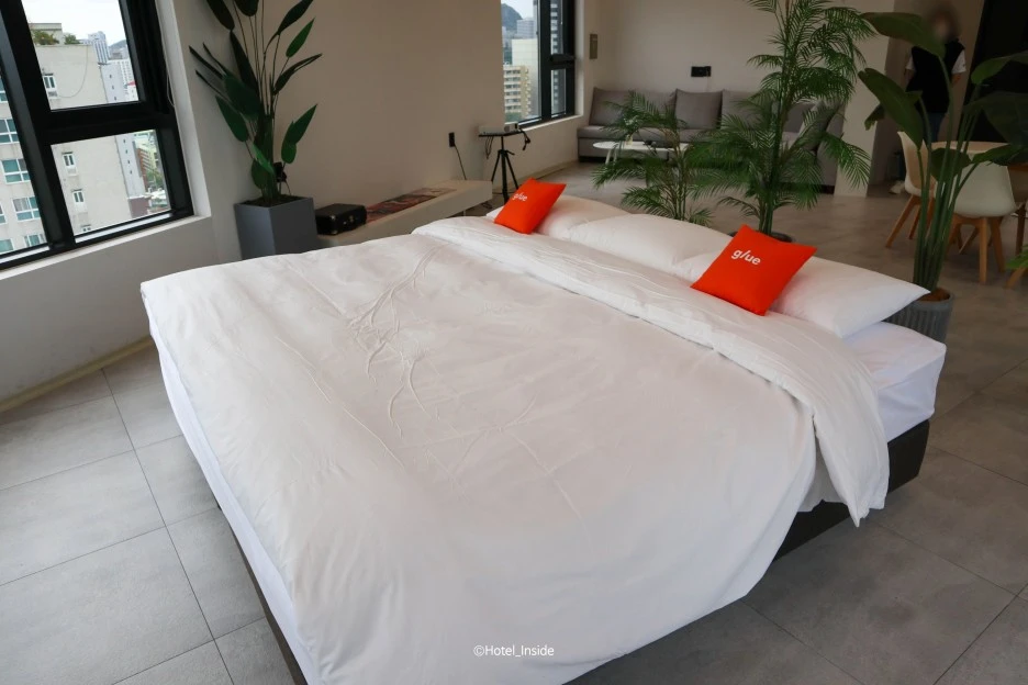 SE-2aeb2675-b916-4a1c-9b66-2a96aeba43d5.jpg?type=w1