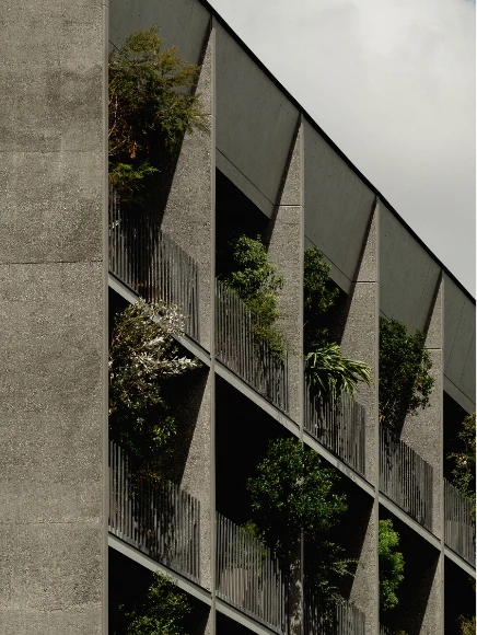 architecture_01.59429b36.jpg?type=w466