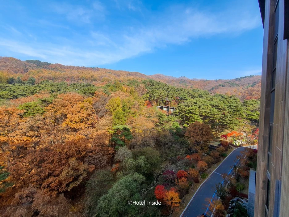 SE-1e299f39-5359-4574-b87b-5658af2b7162.jpg?type=w1