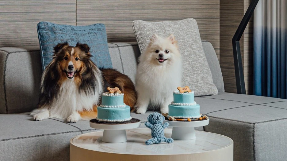 3275-1440-pkg-LTSB.jpg.thumb.1920.1920.jpg?type=w1