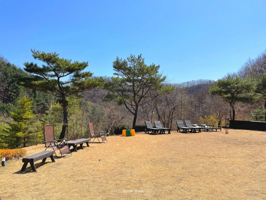 SE-684190e3-1c36-440e-a945-d6f0de8a57bd.jpg?type=w1