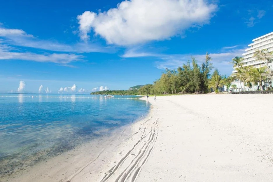 77027521.jpeg?type=w1