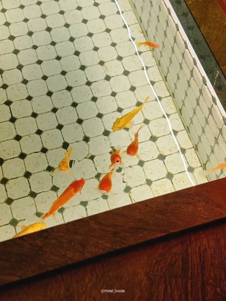 SE-6c568cde-be39-403f-92c1-cd06f2588826.jpg?type=w466