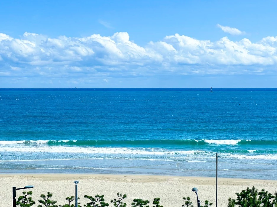 SE-e189efea-38b4-4b46-a615-18d1edeaa4fa.jpg?type=w1