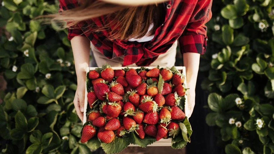 %EB%A1%AF%EB%8D%B0%ED%98%B8%ED%85%94_%EC%9B%94%EB%93%9C.jpg?type=w1