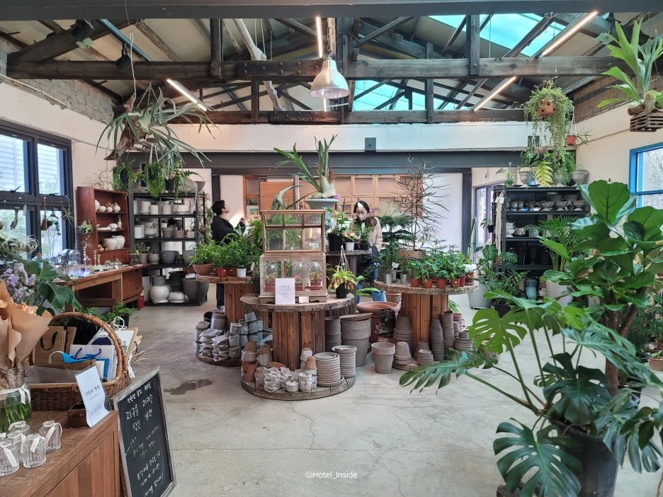 SE-8ec54310-45a3-4f9c-8b06-de9509750eeb.jpg?type=w1