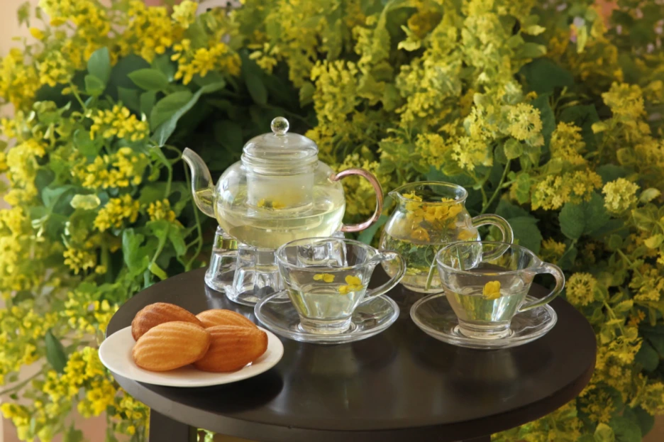 %EB%B4%84%EA%BD%83_WE_%ED%98%B8%ED%85%94_%EC%A0%9C%EC%A3%BC_%EC%84%A4%EB%A0%98%EB%B4%84%EB%82%A0.png?type=w1