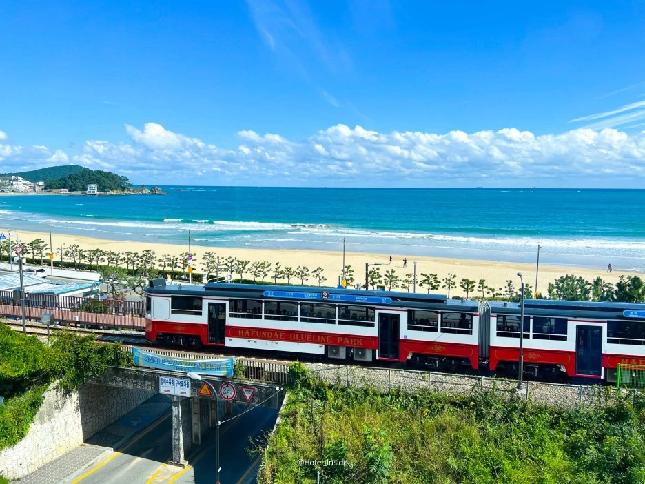 SE-bc723cc4-5373-469a-be16-3f2f91e07f3d.jpg?type=w1