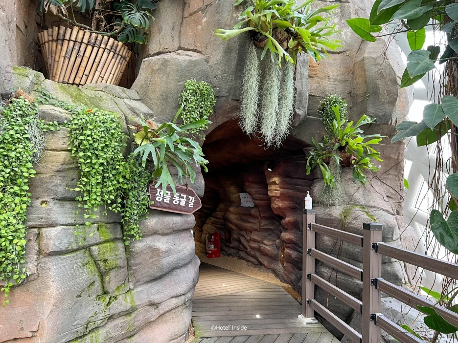 SE-782536e9-c515-447f-b6fc-730e1be2428e.jpg?type=w1