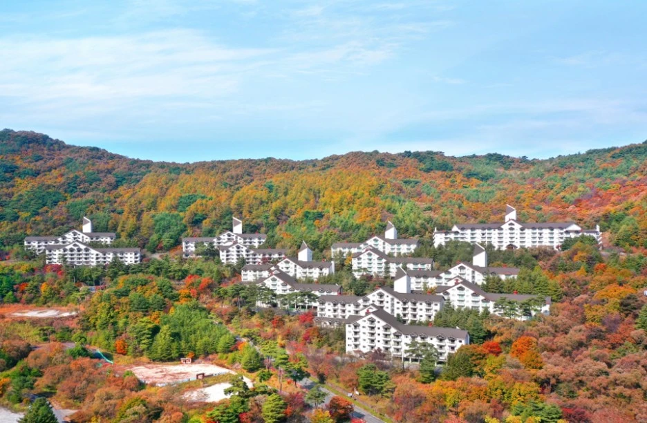 109350_56366_4151.jpeg?type=w1