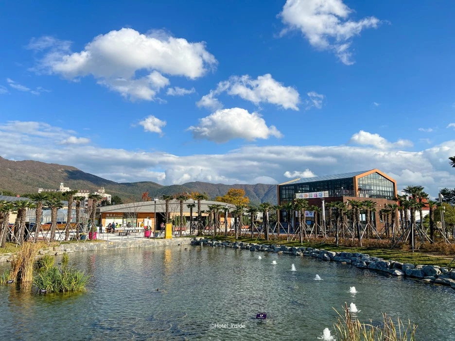 SE-2aa03ee7-3813-4a42-bc27-9d9a9ed220dc.jpg?type=w1