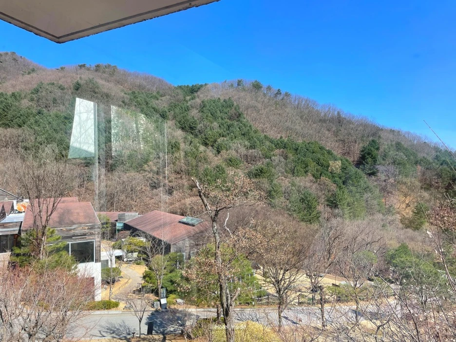 SE-8ad7ba7a-a99d-4290-aad7-684c32b2de4d.jpg?type=w1