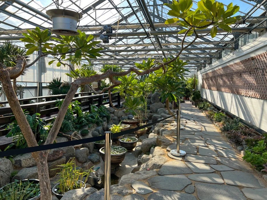 SE-d8613f27-6e2c-4385-a7eb-bf74562ad9af.jpg?type=w1