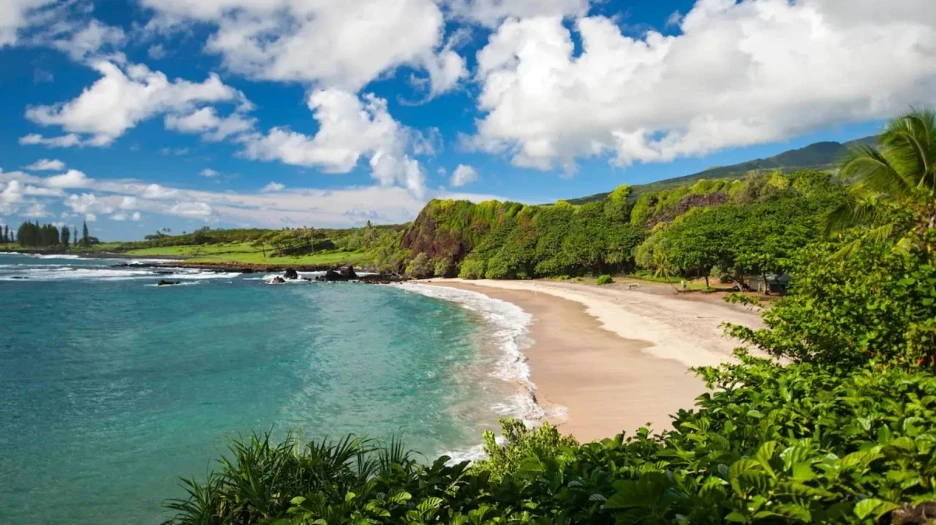 %ED%95%98%EB%82%98%EB%A7%88%EC%9A%B0%EC%9D%B44.JPG?type=w1