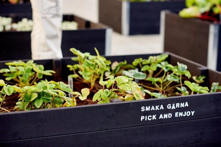 240354057.jpeg?type=w1