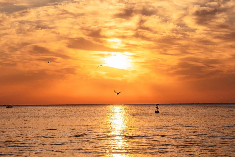 2025_%EC%83%88%ED%95%B4_%EB%A1%AF%EB%8D%B0%ED%98%B8%ED%85%94%EC%95%A4%EB%A6%AC%EC%A1%B0%ED%8A%B8.jpg?type=w966