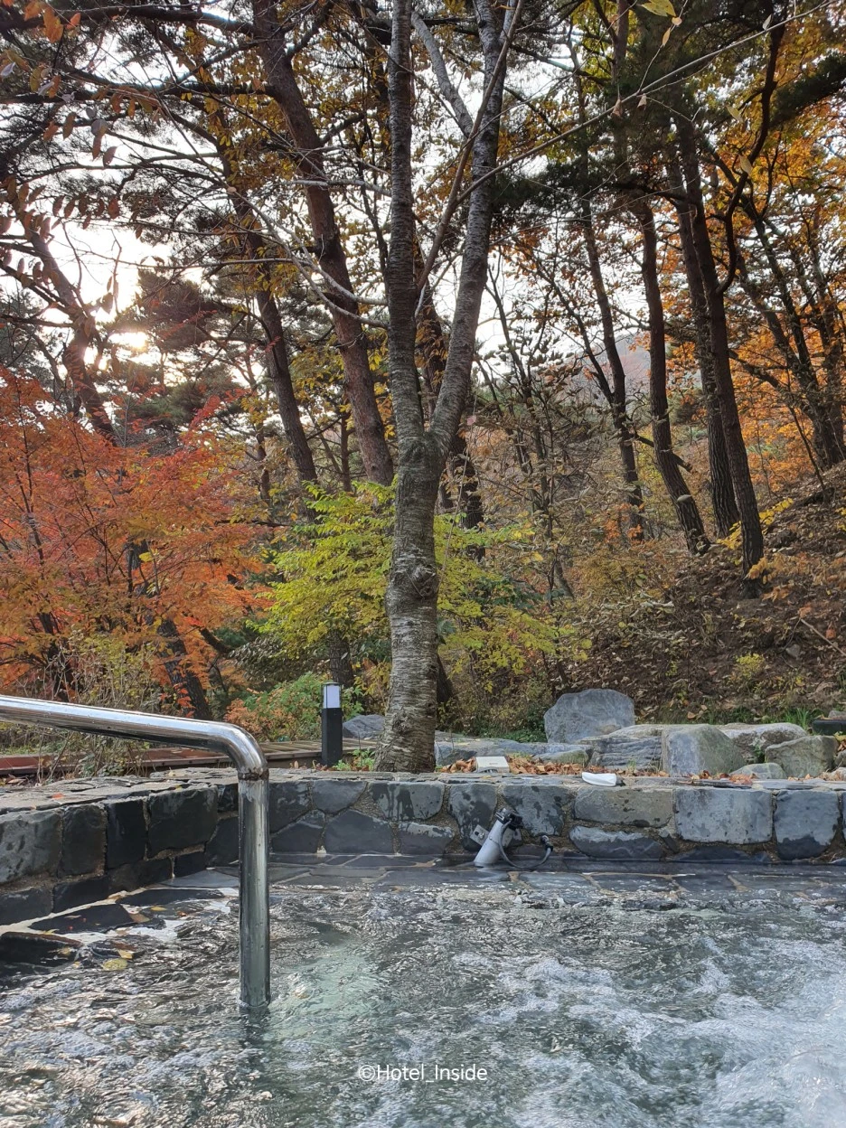 SE-2788dd56-2b7d-47c1-b442-75d057bac4f6.jpg?type=w1