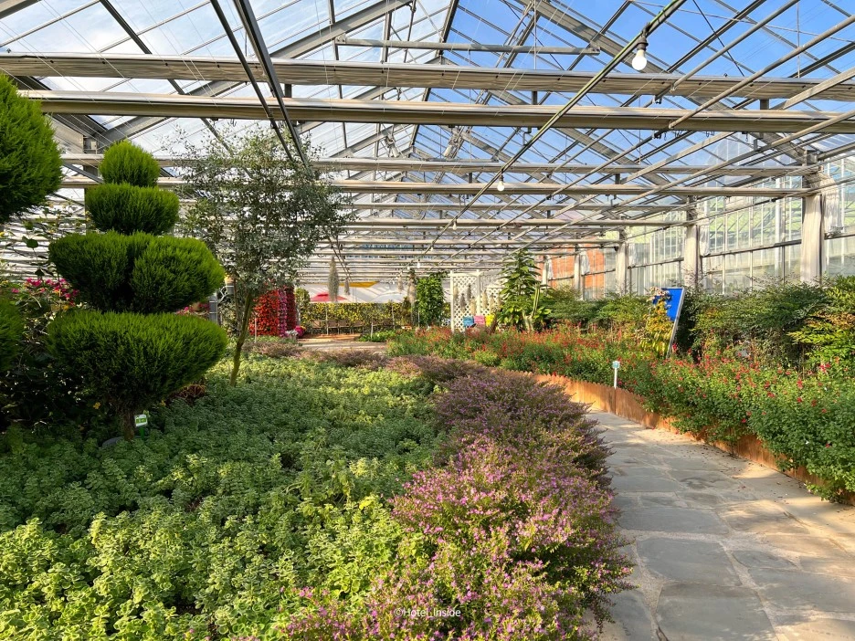 SE-76603c9e-dce0-417c-80e6-2082cb78cc76.jpg?type=w1