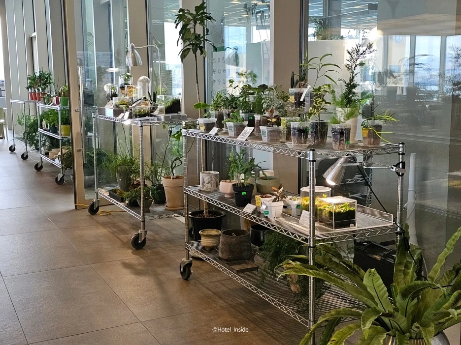 SE-dfc31f29-588b-463f-adab-90dc3bd938bb.jpg?type=w1