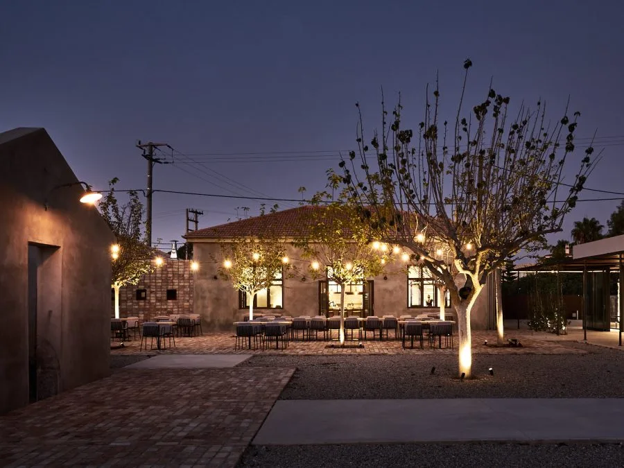 dex.Machina.jpeg?type=w966