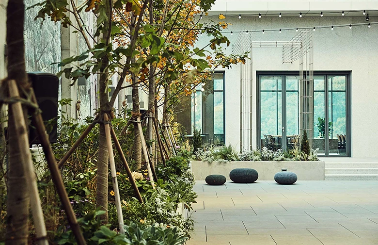 i_cont_img1.jpeg?type=w1