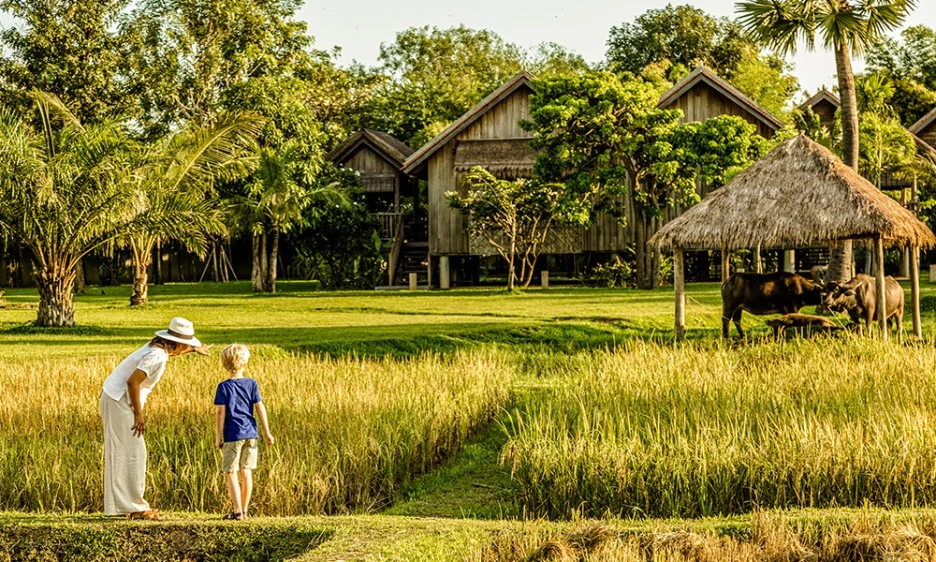 Zannier_Website_1000x600_0002_download.aspx_.jpg?type=w1