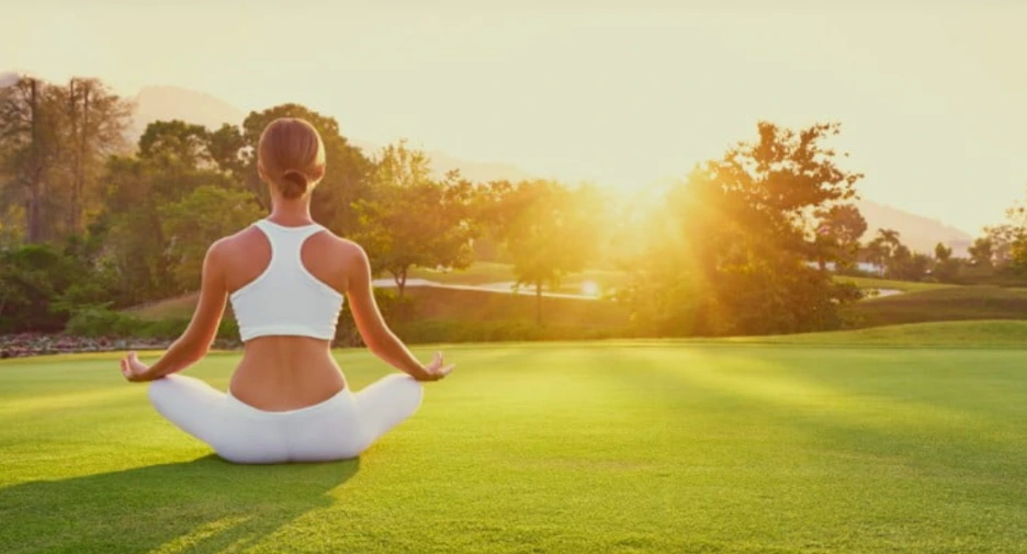 %EB%A9%94%EC%9D%B4%ED%95%84%EB%93%9C_%EC%84%9C%EC%9A%B8_%ED%8F%AC%EB%A0%88%EC%8A%A4%ED%8A%B8.png?type=w1