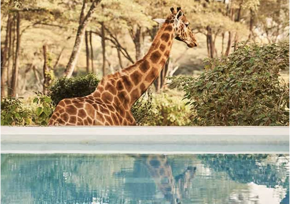 %EC%8A%A4%ED%81%AC%EB%A6%B0%EC%83%B7_2022-06-09_%EC%98%A4%ED%9B%84_4.36.20.png?type=w1