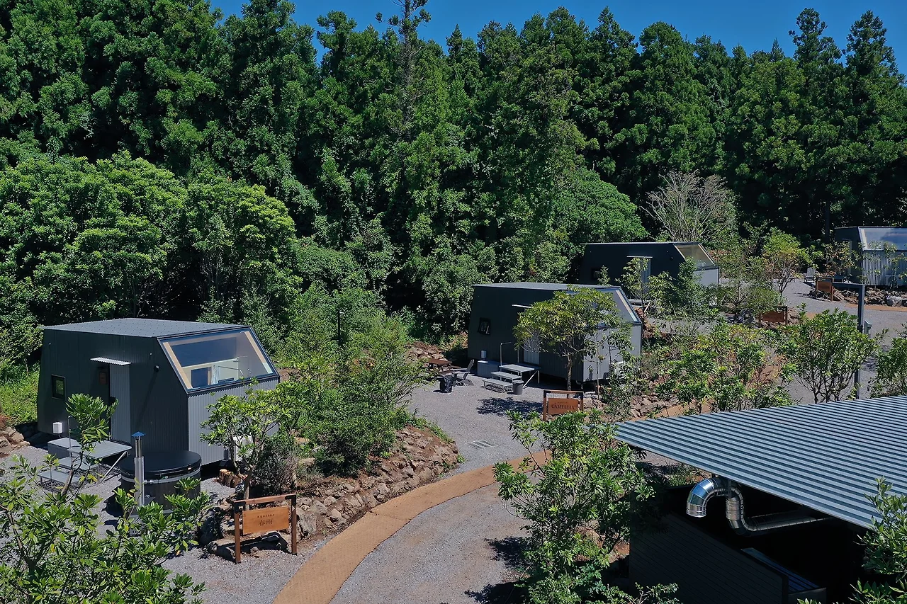 5c08e00ee611c88e7ca160292c1b9dc192cd51c8.jpg?1755586953