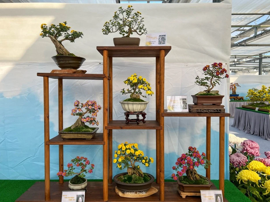 SE-794b2428-f182-43e8-9a03-e49488a2d59b.jpg?type=w1