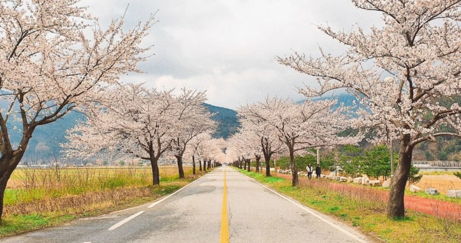 SE-444be666-677b-4232-bbe4-b08dd874fbc8.jpg?type=w1