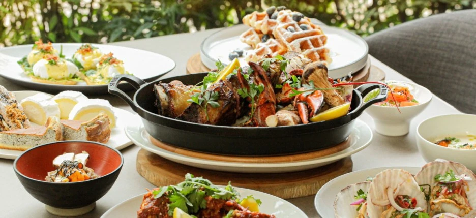 1200x550(37).jpeg?type=w1