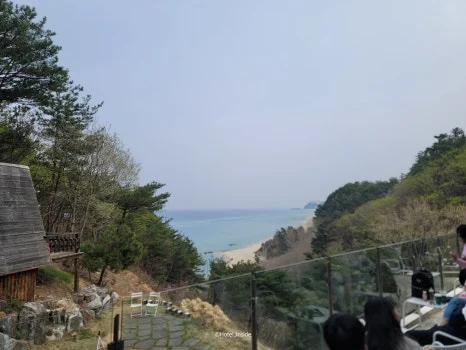 SE-0b0482e2-d53b-4bcf-a86d-f5c3f91d02ef.jpg?type=w466