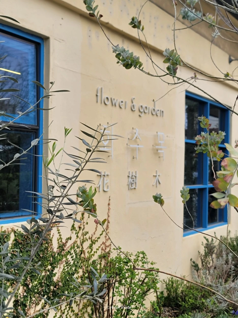 SE-d3ff4f02-e683-4704-905e-39c89995562b.jpg?type=w1