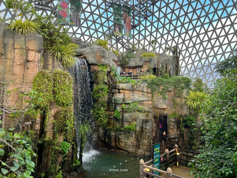 SE-80e65602-3176-45ed-846d-b2039e11bdb7.jpg?type=w1