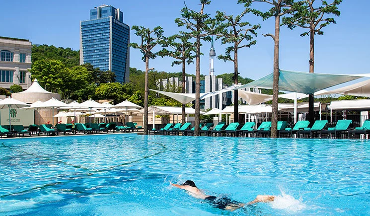 %ED%92%80%EC%BA%89%EC%8A%A4_%EB%B0%98%EC%96%80%ED%8A%B8%EB%A6%AC_%ED%81%B4%EB%9F%BD_%EC%95%A4_%EC%8A%A4%ED%8C%8C_%EC%84%9C%EC%9A%B82.jpg?type=w966