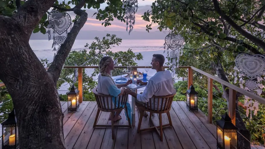 tree_top.jpg?type=w1