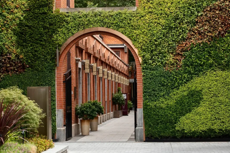 Capella_Shanghai_6.png?type=w966