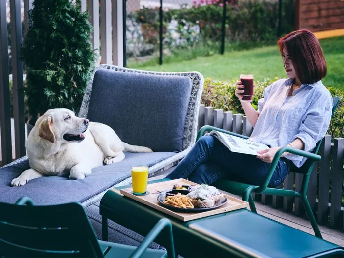 %ED%94%8C%EB%A0%88%EC%9D%B4%EA%B7%B8%EB%9D%BC%EC%9A%B4%EB%93%9C_%EB%B9%84%EB%B0%9C%EB%94%94_%EC%86%8C%EB%85%B8%ED%8E%AB_%EC%86%8C%EB%85%B8%EC%9D%B8%ED%84%B0%EB%82%B4%EC%85%94%EB%84%90.jpeg?type=w966